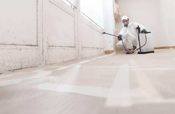 24/7 Emergency Mold Removal experts in Columbia, PA